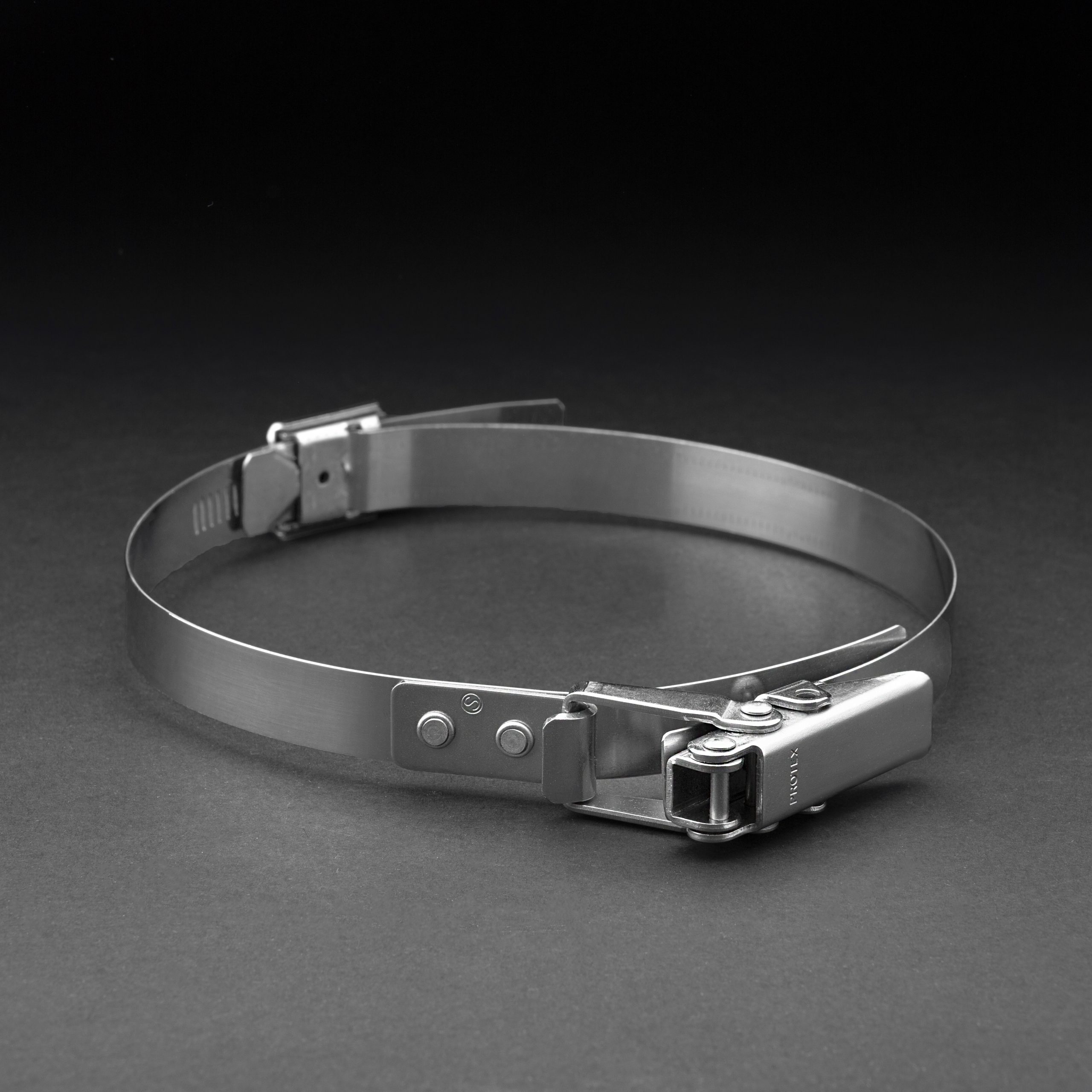 Quick release stainless steel clip